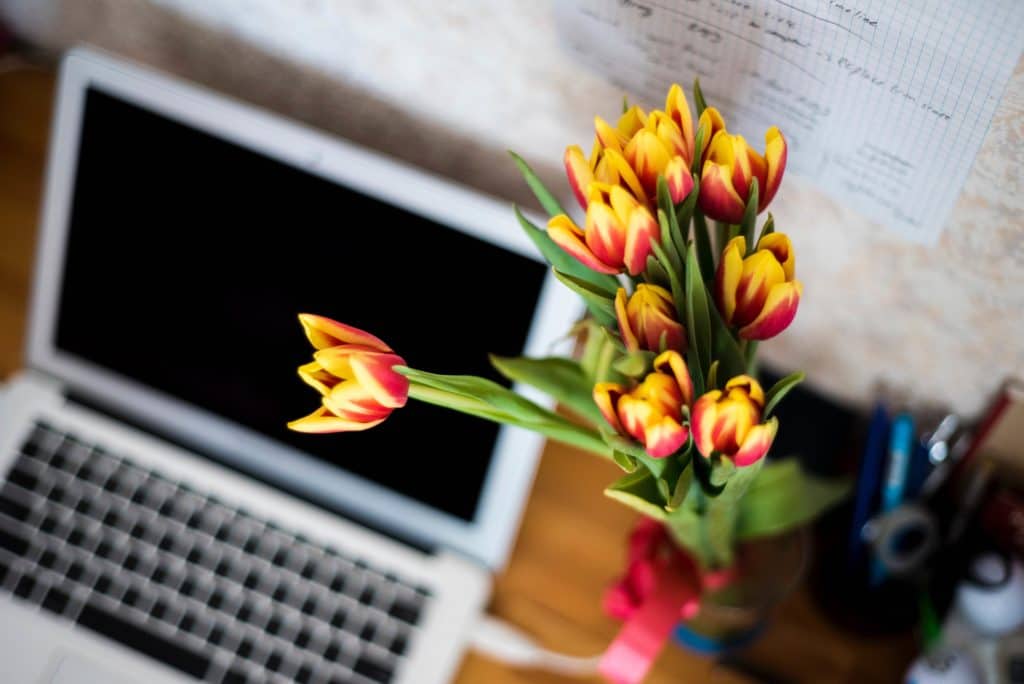Time to Spring Clean Your Finances - Spring Flowers on a Desktop